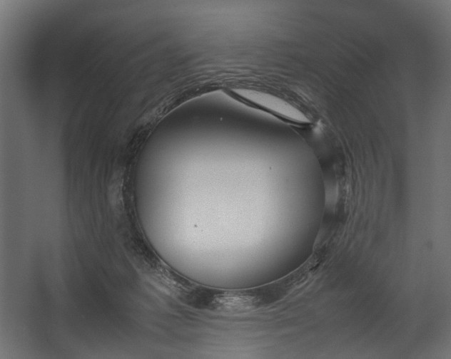 X0000067500221200604211733