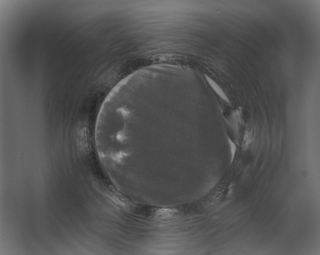 X0000067500222200604211733