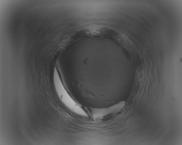 X0000067500223200604211733