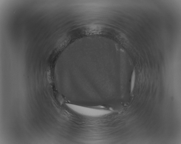 X0000067500224200604211733