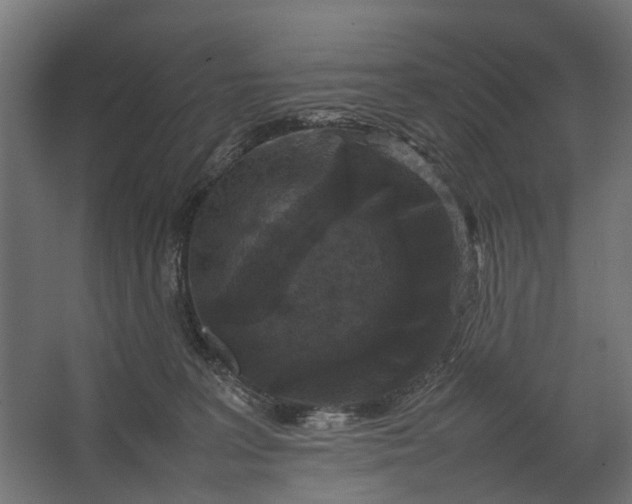 X0000067500227200604211733
