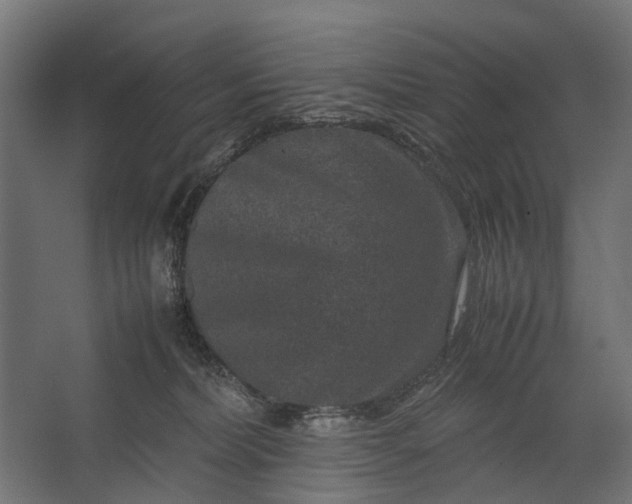 X0000067500228200604211733