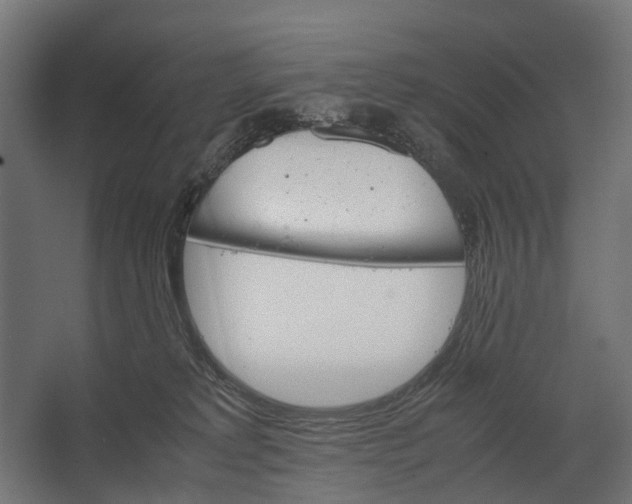 X0000067500229200604211733