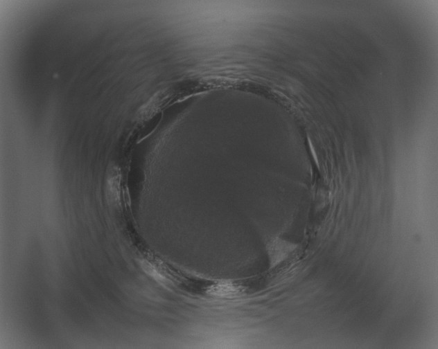 X0000067500231200604211733