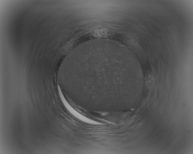 X0000067500233200604211733