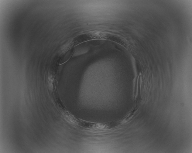 X0000067500235200604211733