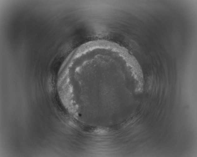 X0000067500236200604211733