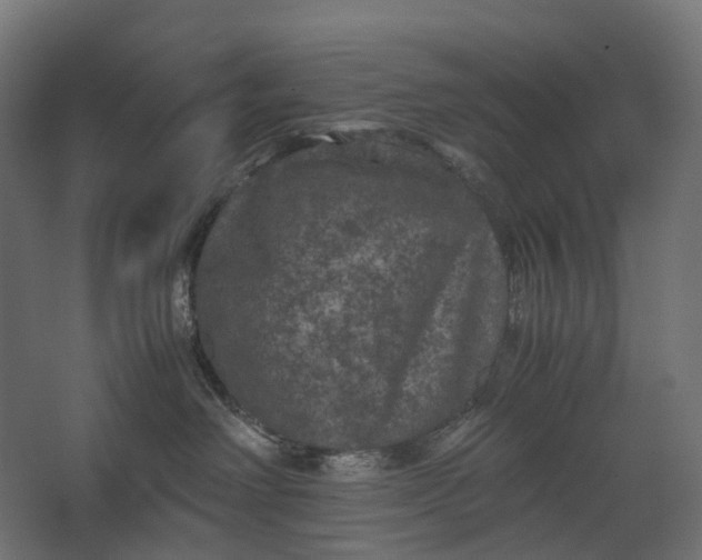 X0000067500238200604211733