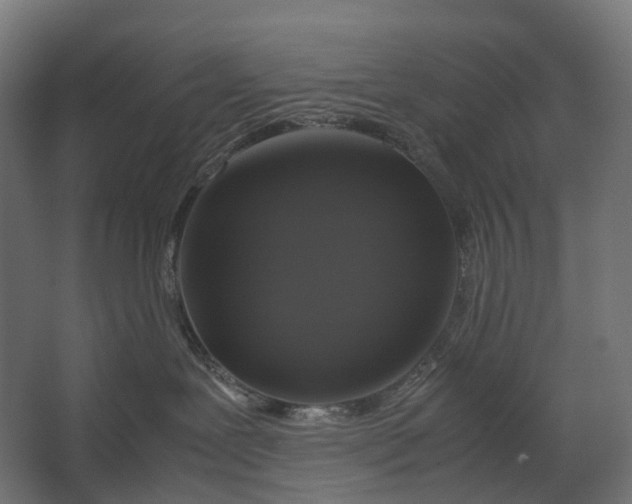 X0000067500239200604211733