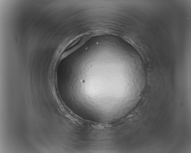 X0000067500241200604211732