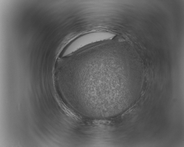 X0000067500242200604211732