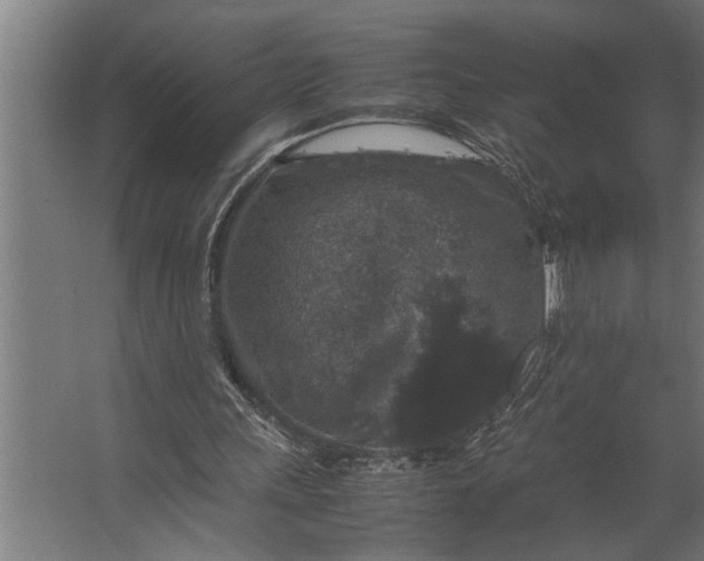 X0000067500243200604211732