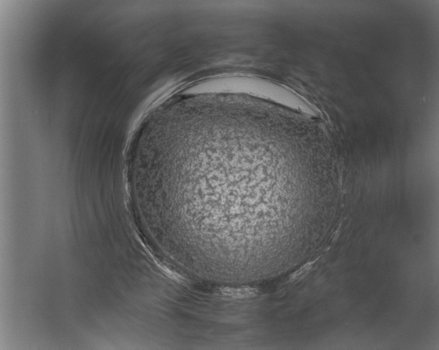 X0000067500245200604211732