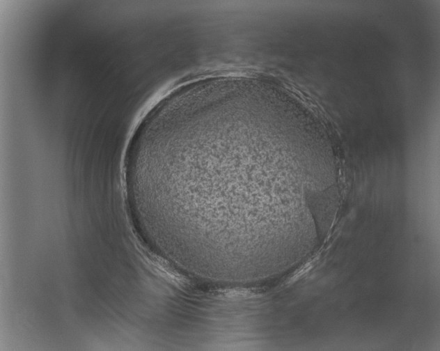 X0000067500246200604211732