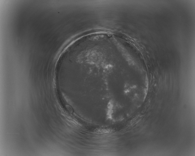 X0000067500247200604211732