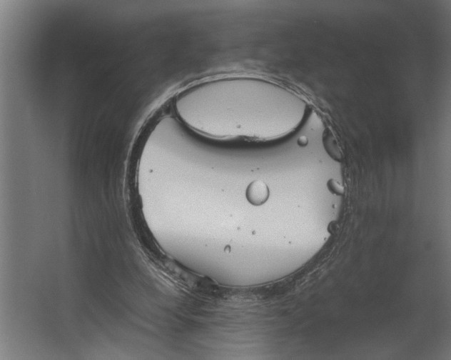 X0000067500248200604211732