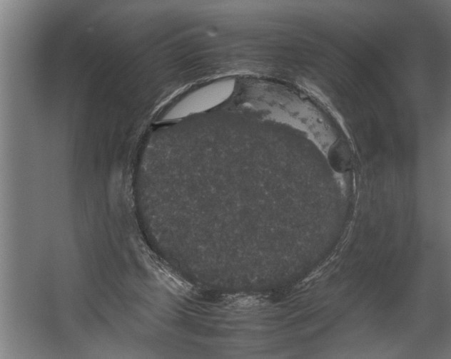 X0000067500249200604211732