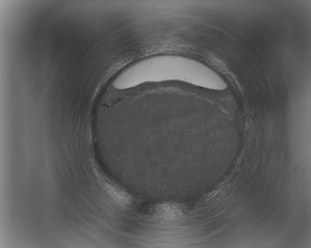 X0000067500250200604211732