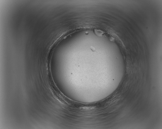 X0000067500251200604211732