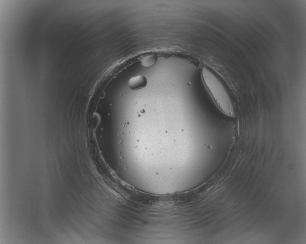 X0000067500252200604211732