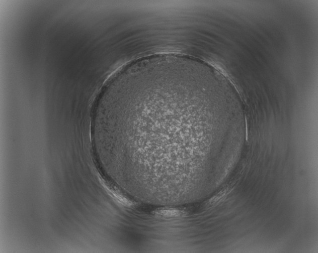 X0000067500253200604211732