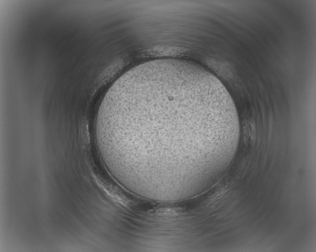 X0000067500254200604211732