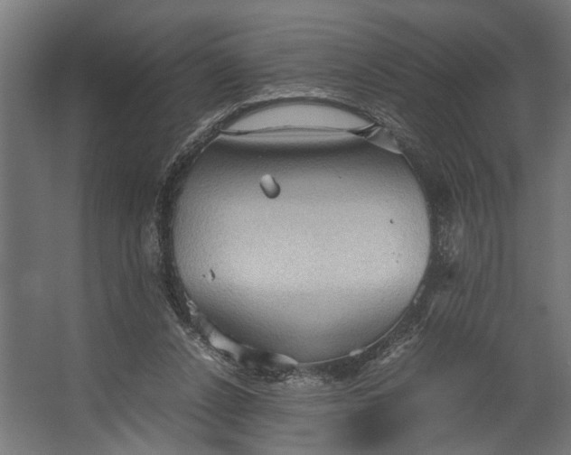 X0000067500256200604211732