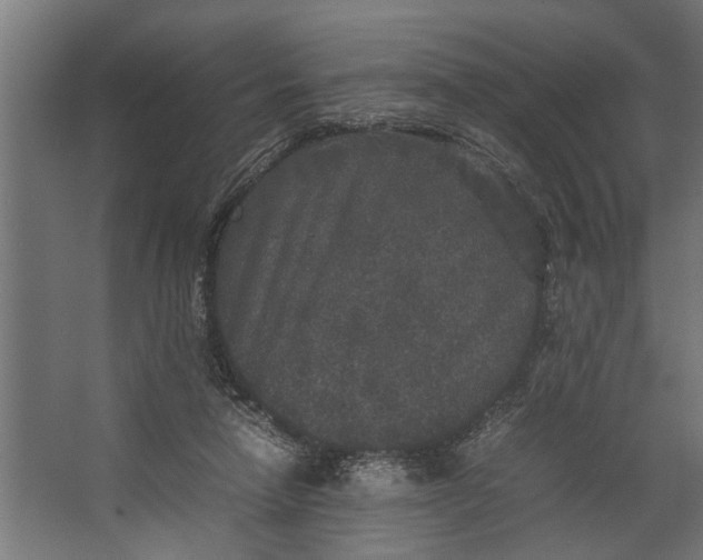 X0000067500258200604211732