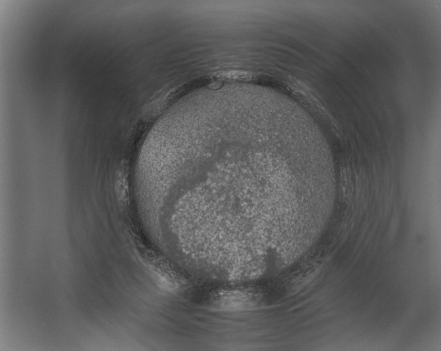 X0000067500259200604211732