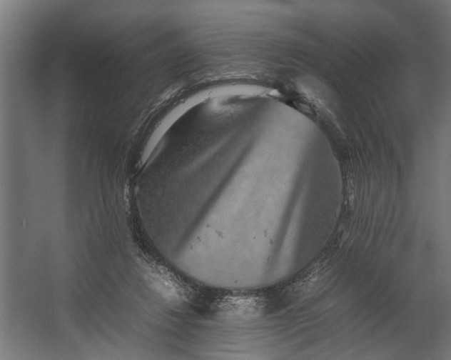 X0000067500260200604211732