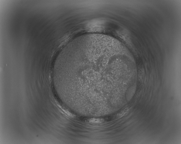 X0000067500261200604211732