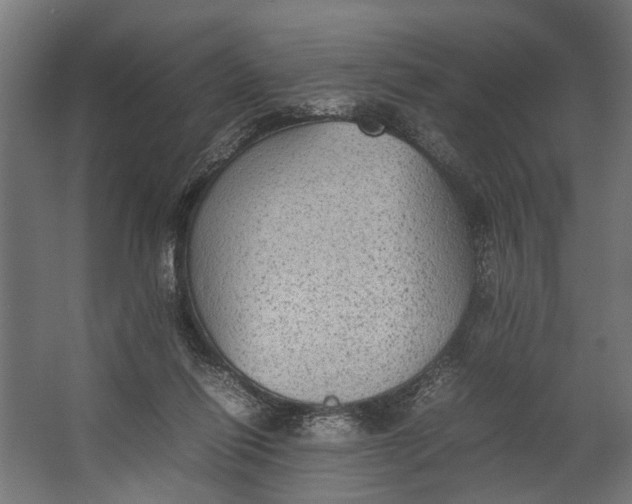 X0000067500262200604211732