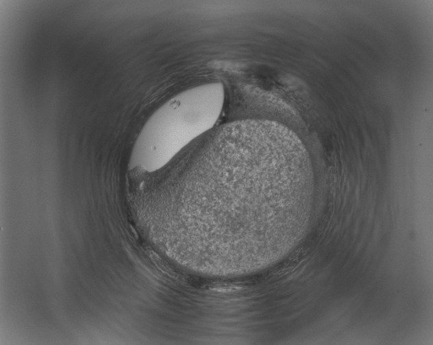 X0000067500263200604211732