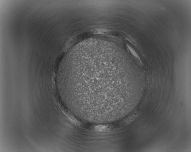 X0000067500265200604211732