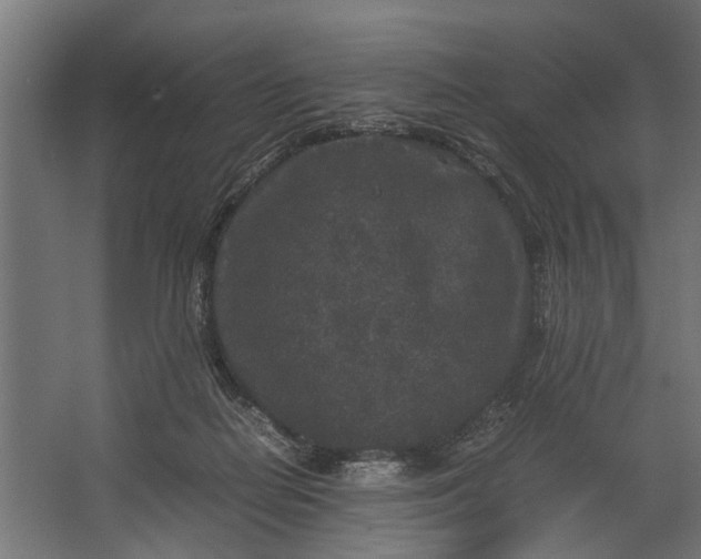 X0000067500266200604211732