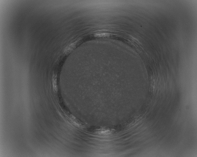 X0000067500267200604211732