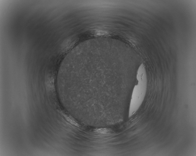 X0000067500269200604211733