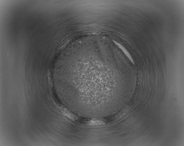 X0000067500270200604211733