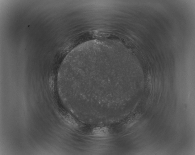 X0000067500271200604211733