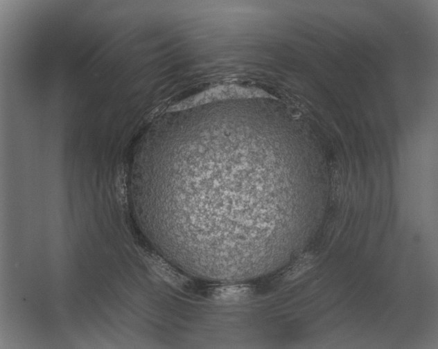 X0000067500274200604211733