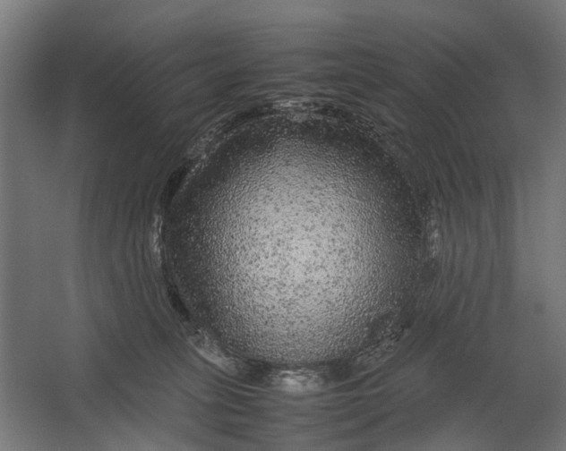 X0000067500275200604211733