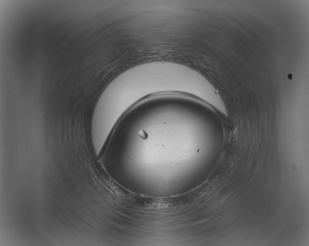 X0000067500276200604211733