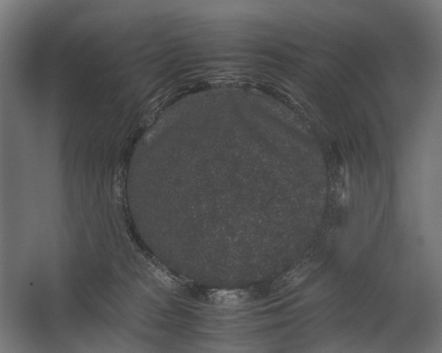 X0000067500277200604211733