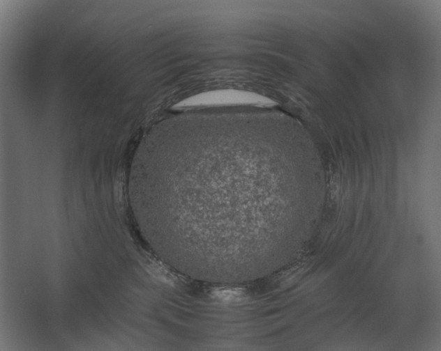 X0000067500283200604211733