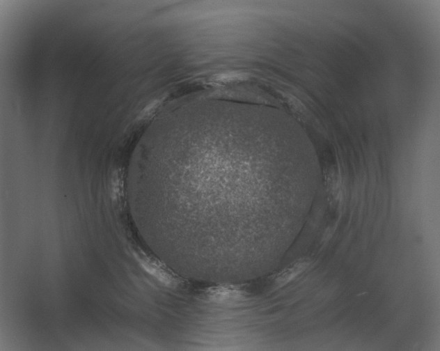 X0000067500284200604211733