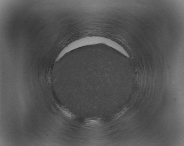 X0000067500285200604211733