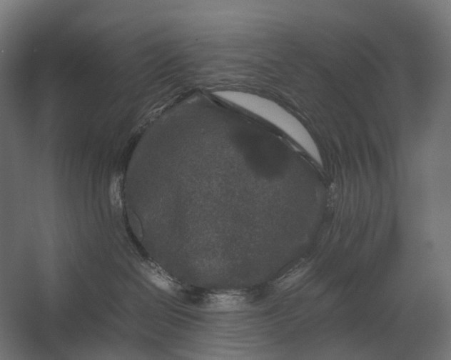 X0000067500286200604211733