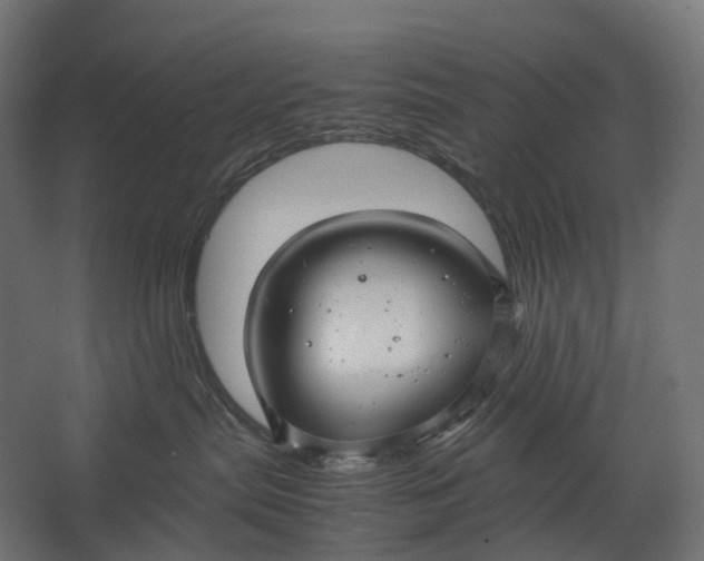 X0000067500287200604211733