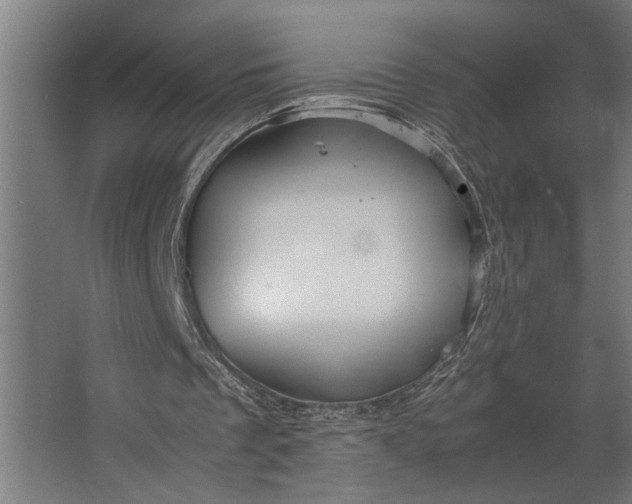 X0000067500289200604211732