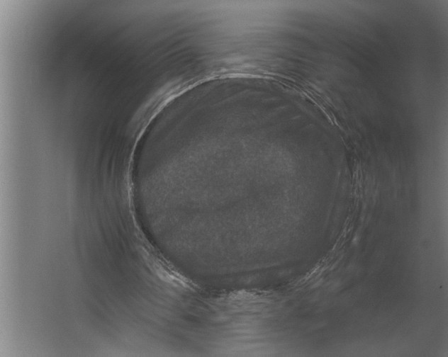 X0000067500290200604211732